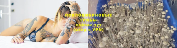 2c-b Белокуриха