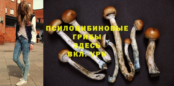 2c-b Белокуриха