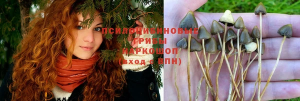 гидра Балабаново
